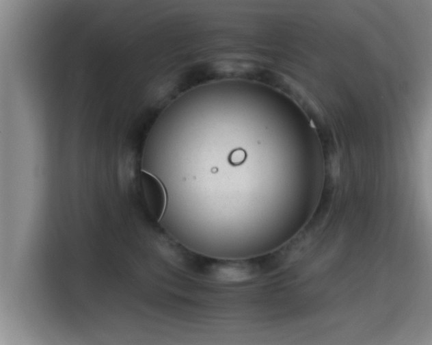 X0000115370567200911101248
