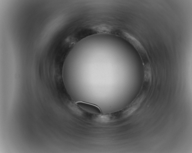 X0000115370573200911101248