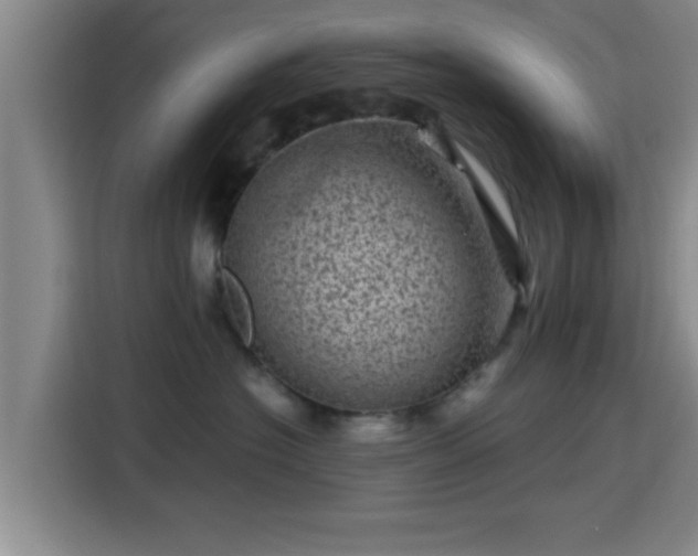 X0000115370574200911101248