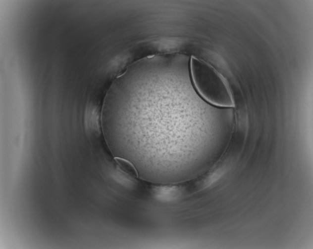 X0000115370575200911101248