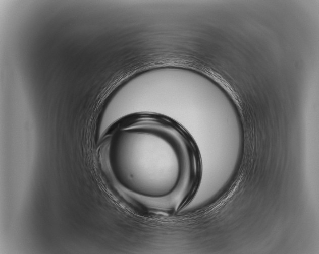 X0000115370577200911101248