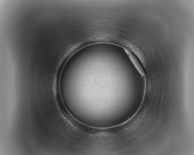 X0000115370578200911101248