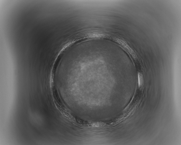 X0000115370579200911101248