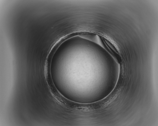 X0000115370580200911101248