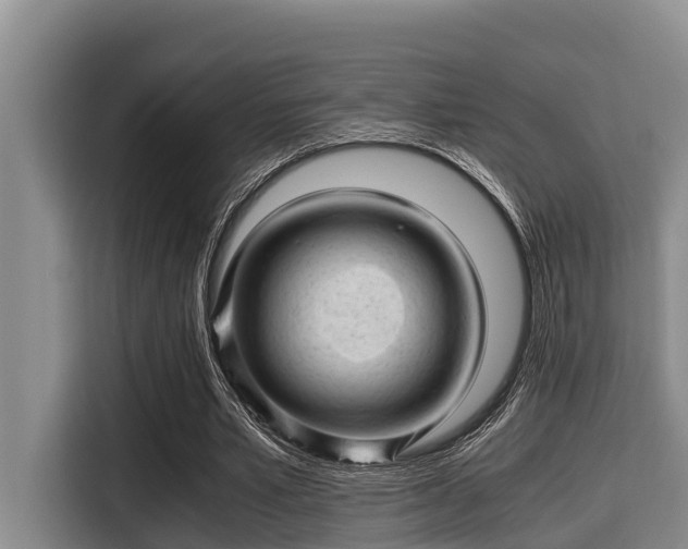 X0000115370581200911101248