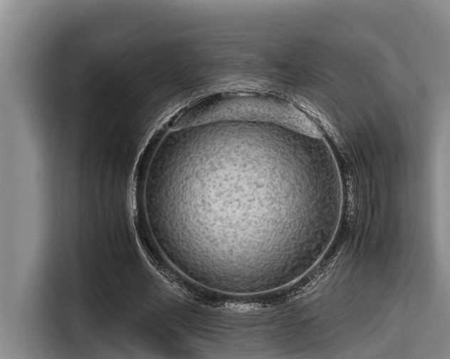 X0000115370582200911101248