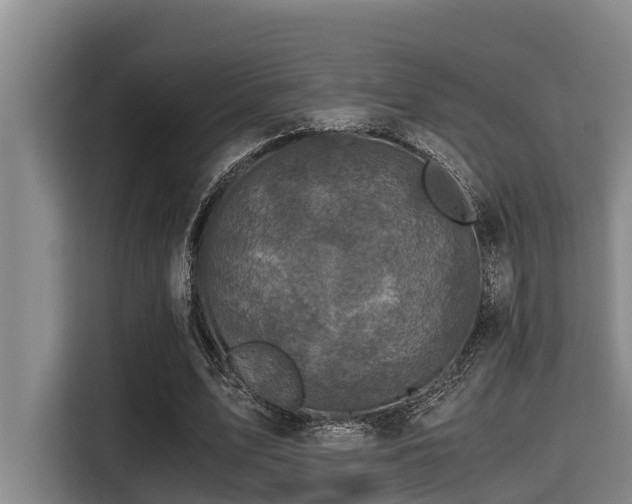 X0000115370583200911101248