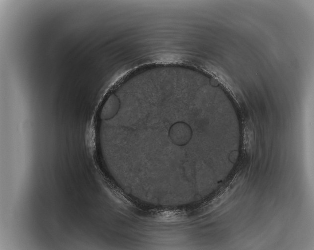 X0000115370584200911101248