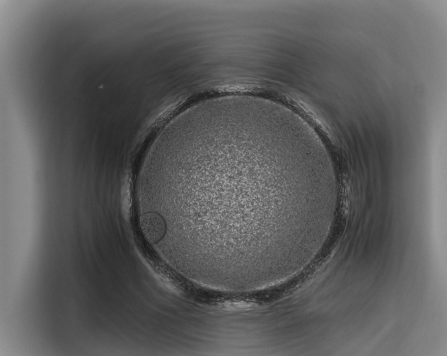X0000115370586200911101248
