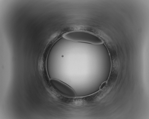 X0000115370587200911101248