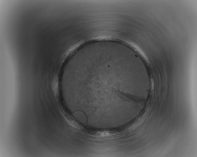 X0000115370588200911101248