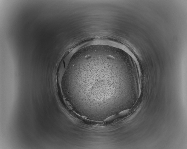 X0000115370589200911101248
