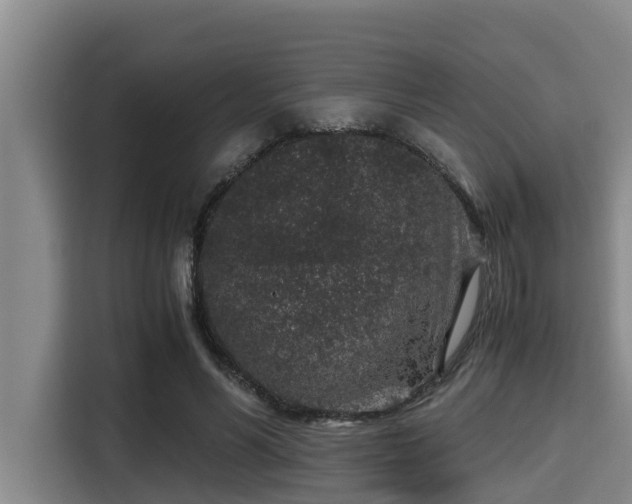 X0000115370590200911101248