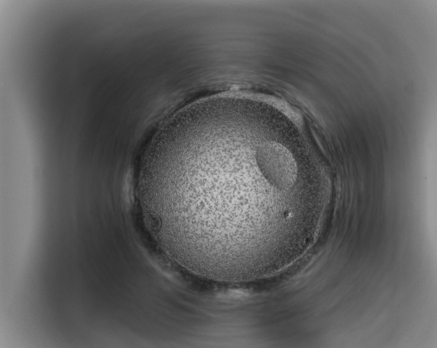 X0000115370594200911101248