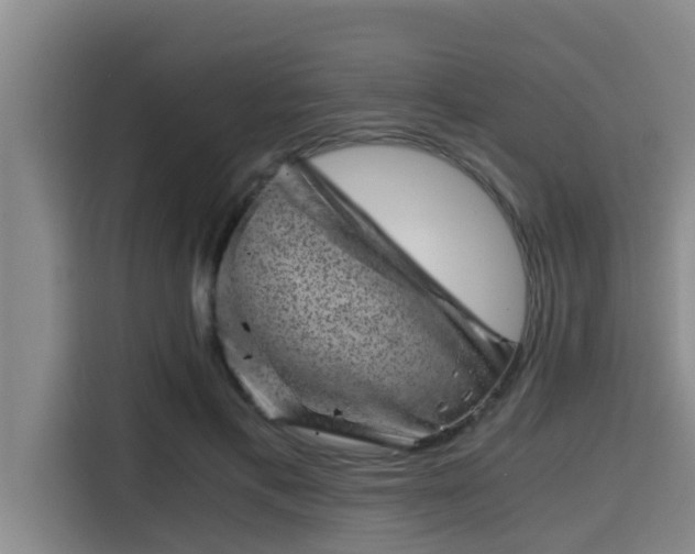 X0000115370597200911101248
