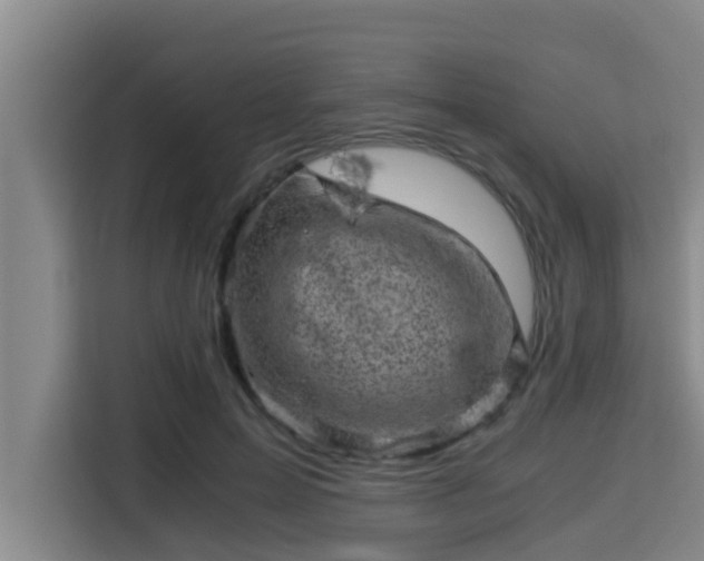 X0000115370599200911101248