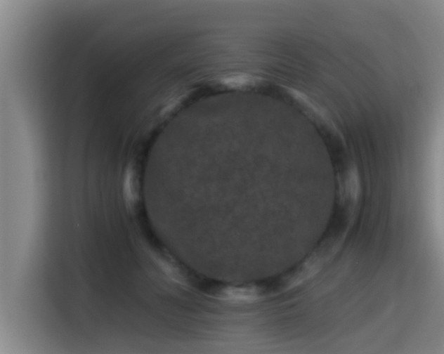 X0000115370606200911101248