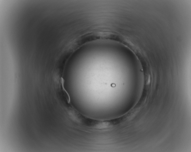 X0000115370609200911101247
