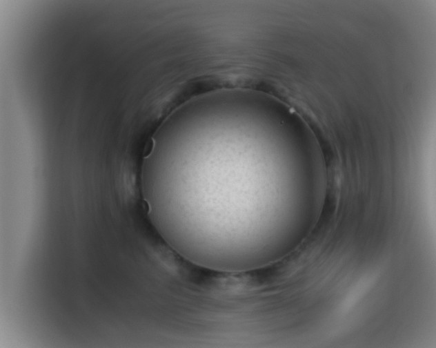 X0000115370615200911101247