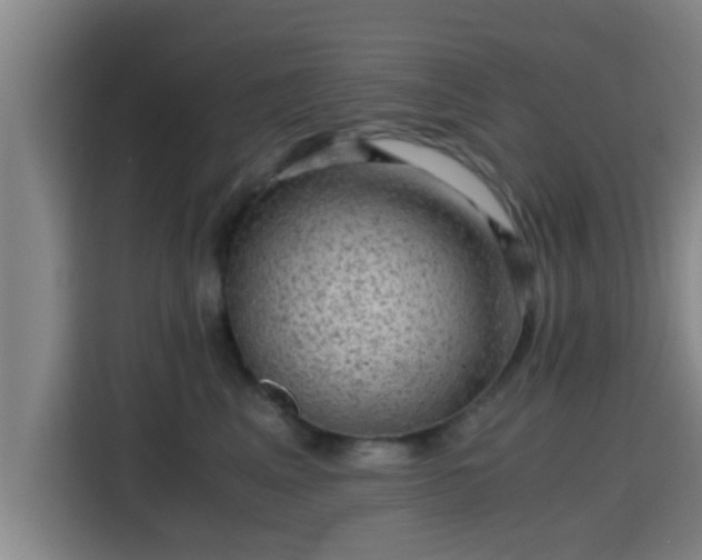 X0000115370617200911101247