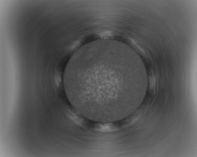 X0000115370618200911101247