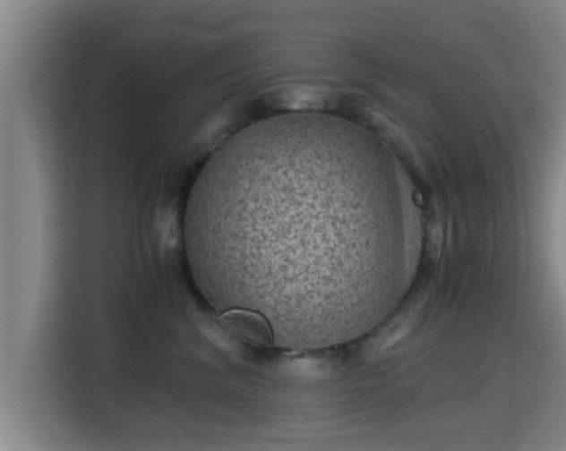 X0000115370620200911101247