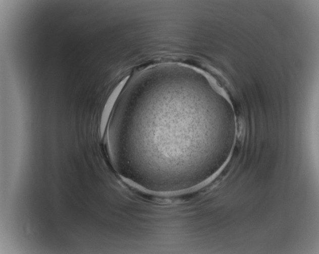 X0000115370621200911101247