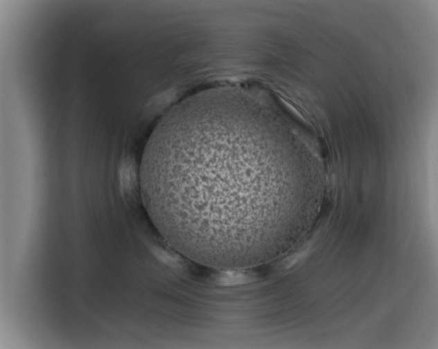 X0000115370623200911101247