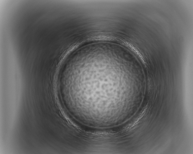 X0000115370625200911101247