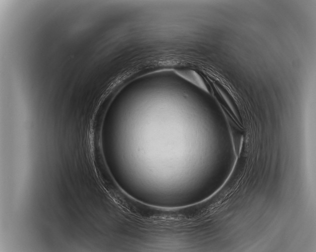 X0000115370626200911101247