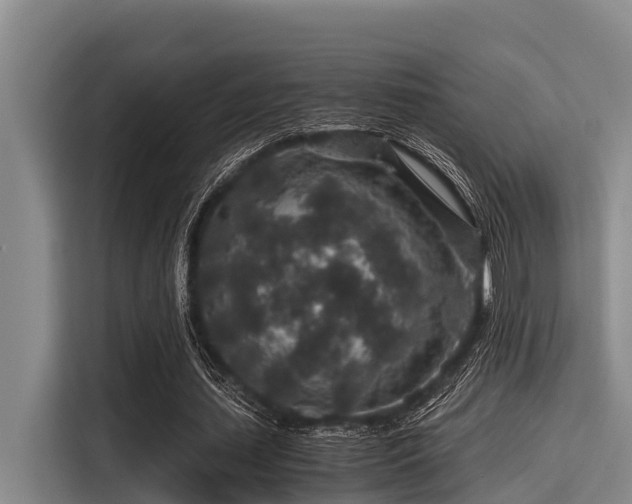 X0000115370627200911101247
