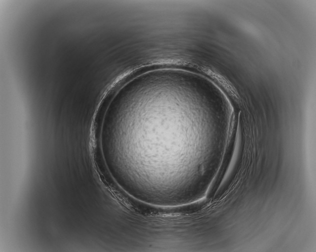 X0000115370628200911101247