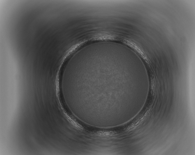 X0000115370629200911101247