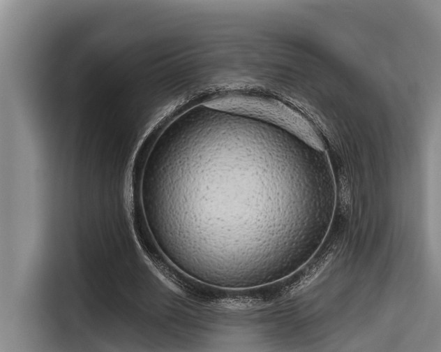 X0000115370630200911101247