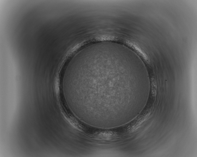 X0000115370631200911101247