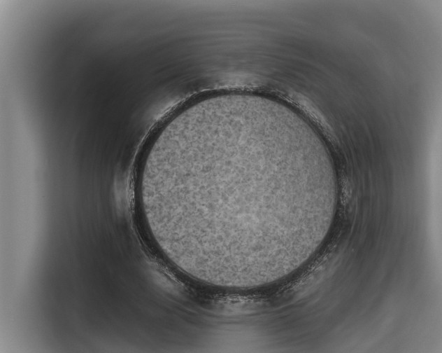 X0000115370632200911101247