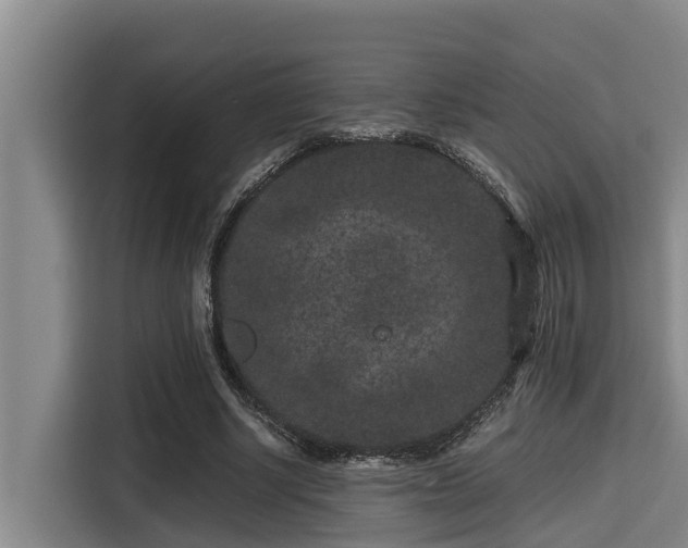 X0000115370634200911101247