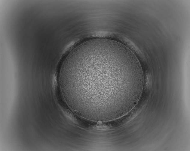 X0000115370636200911101247
