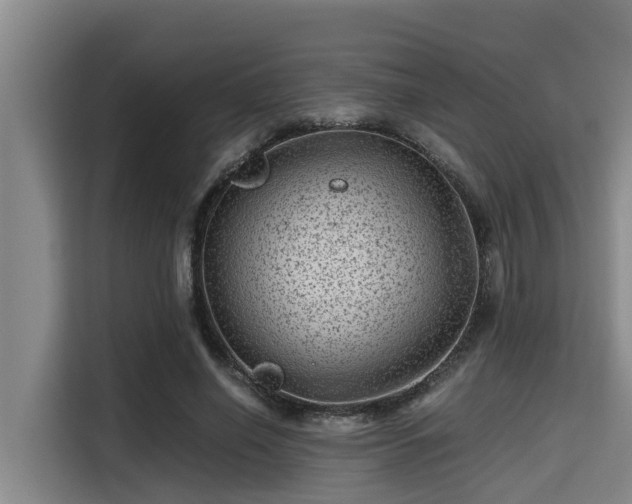 X0000115370638200911101247