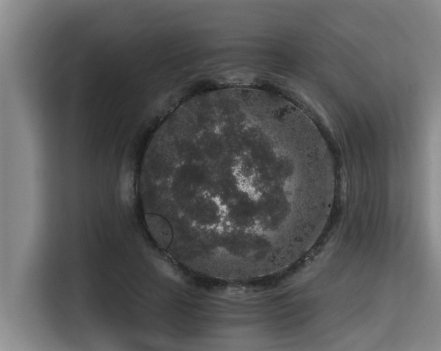 X0000115370641200911101247