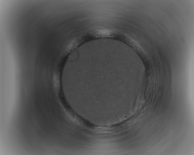 X0000115370642200911101247
