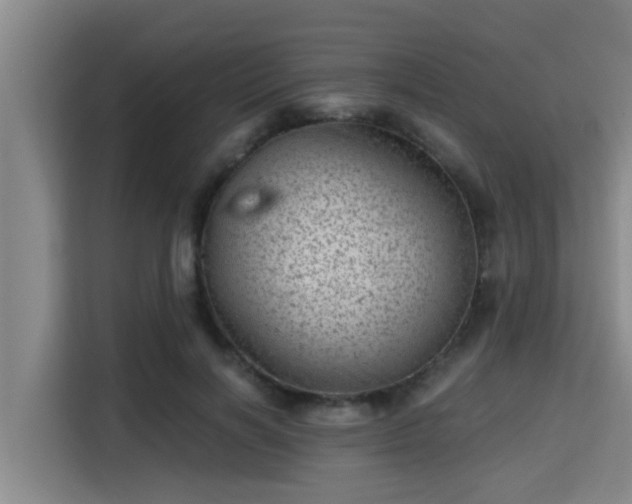 X0000115370646200911101247
