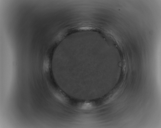X0000115370647200911101247