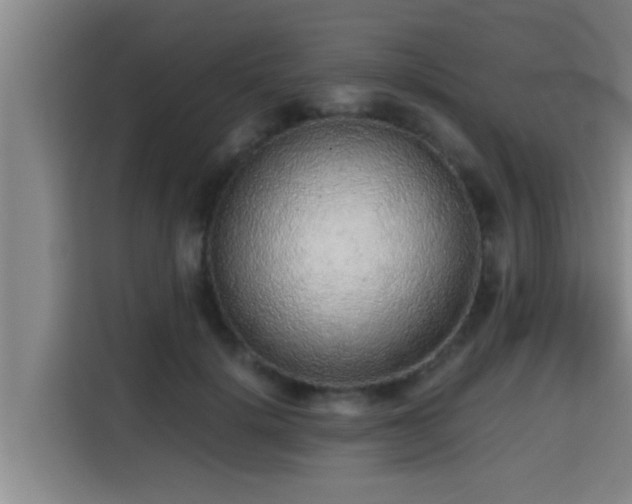 X0000115370652200911101247