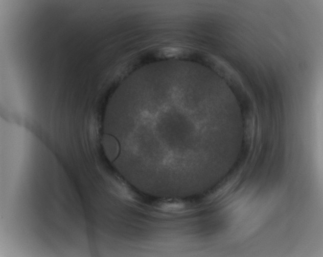X0000115370653200911101247