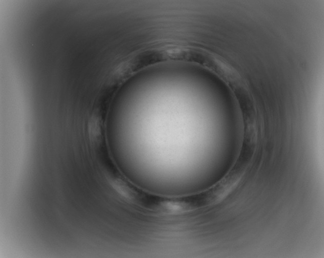 X0000115370654200911101247