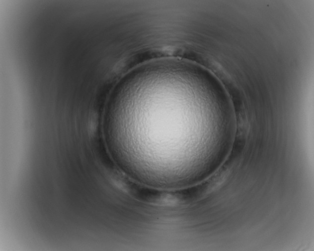 X0000115370656200911101247