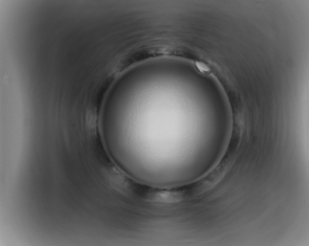 X0000115370657200911101247