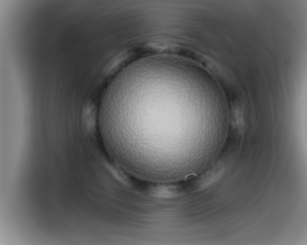 X0000115370664200911101247