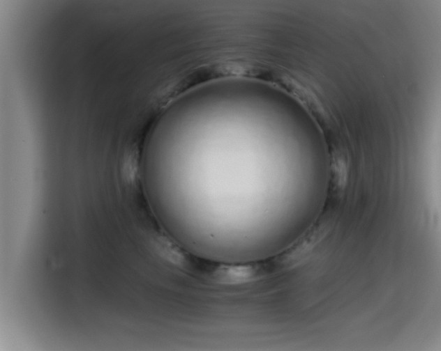 X0000115370665200911101247